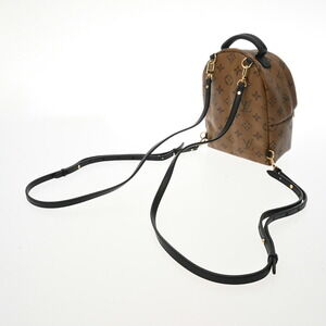 Louis Vuitton Springs Daypack Canvas Palm Reverse Monogram Backpack